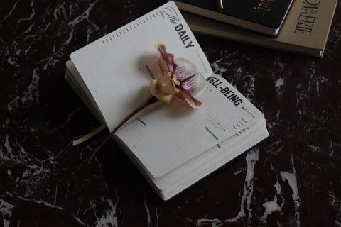 The Daily Muse